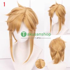 画像1: ゼルダの伝説   リンク Link  風 コスプレウィッグ かつら cosplay wig 耐熱ウィッグ 専用ネット付   (1)